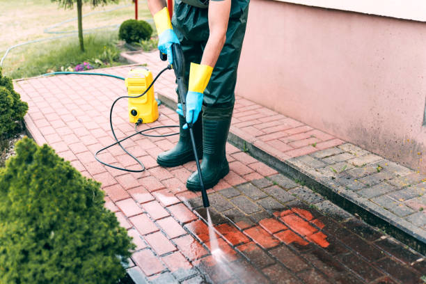 Best Driveway Pressure Washing  in West Linn, OR